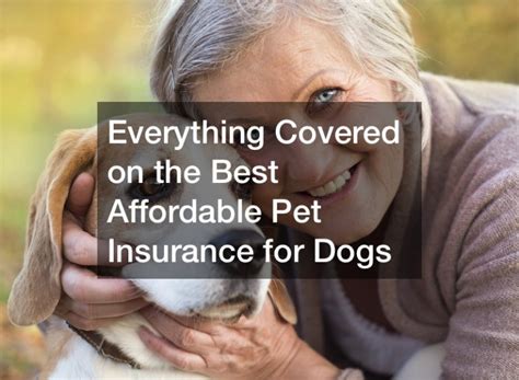pet insurance for dogs over 5